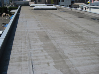 f0147756_11535830.jpg