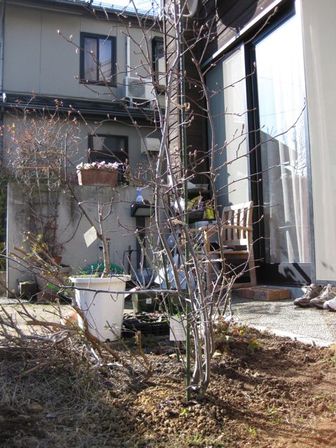 a0154962_20123425.jpg