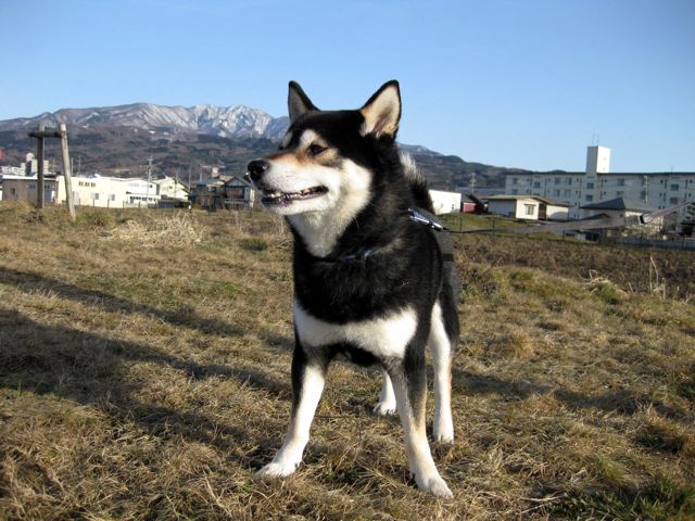 a0154962_20303415.jpg