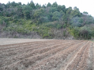 f0055264_0192616.jpg