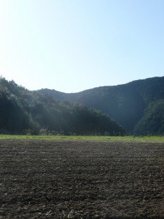 f0055264_20432339.jpg