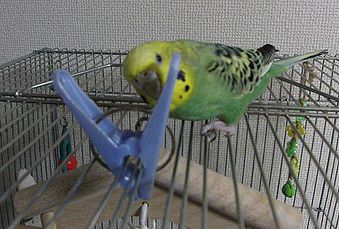 f0196665_23575913.jpg