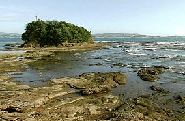 f0118066_16373341.jpg