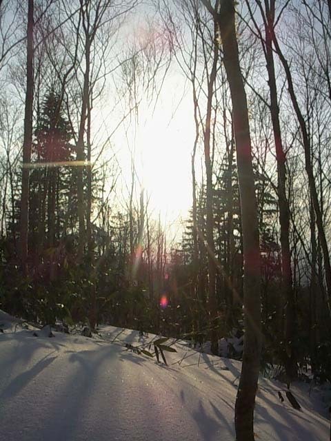 e0187567_11531125.jpg