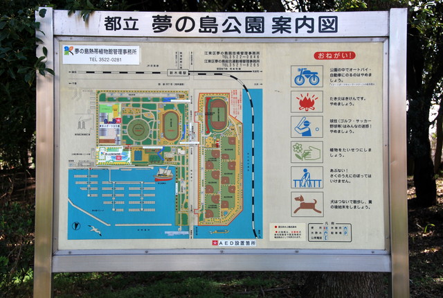 b0174068_23135870.jpg