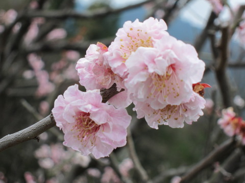 a0167672_22122724.jpg