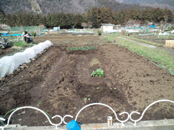 f0082772_20291068.gif