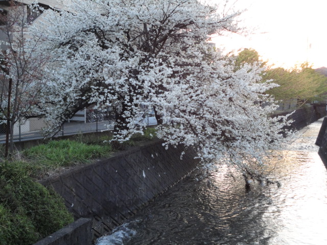 d0109373_22361621.jpg