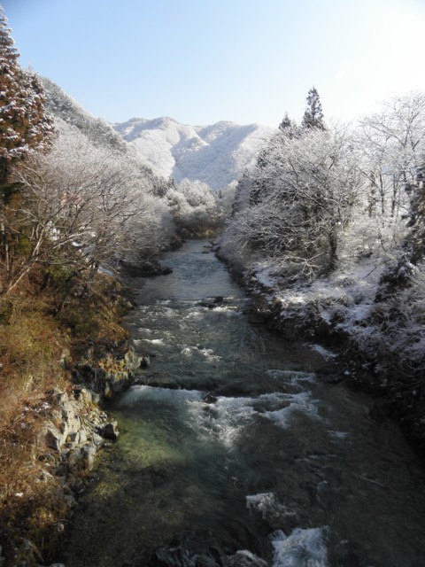 d0134473_1414919.jpg