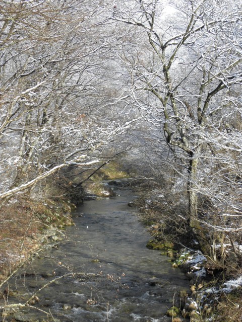d0134473_1418111.jpg