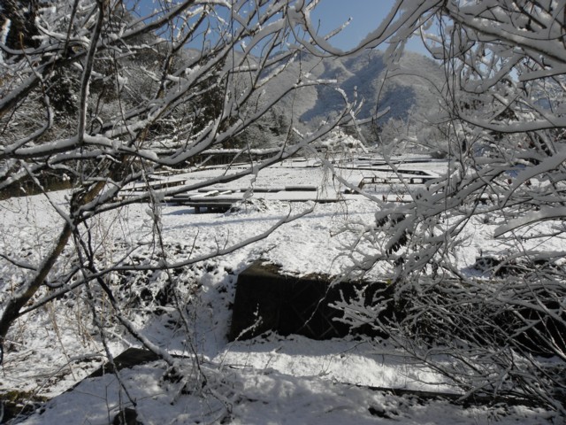 d0134473_14222712.jpg