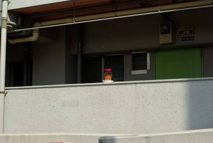 b0120979_7365094.jpg
