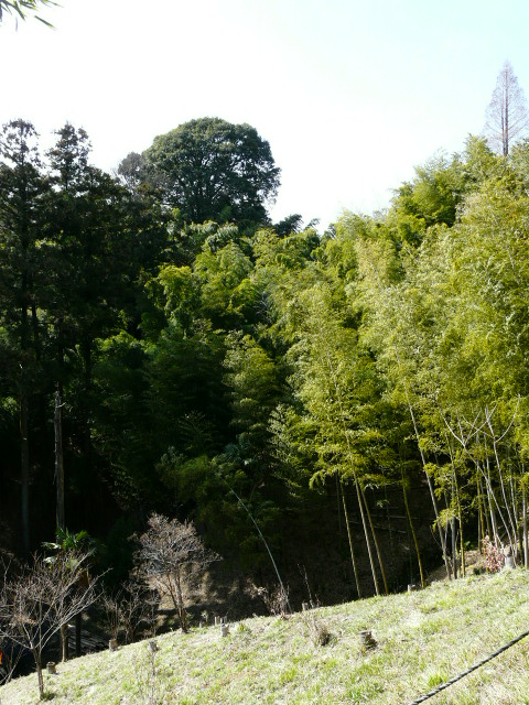 e0145782_9333526.jpg
