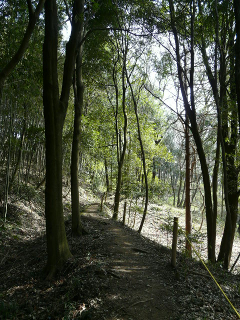 e0145782_9341959.jpg