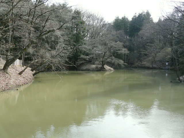 e0145782_9365796.jpg