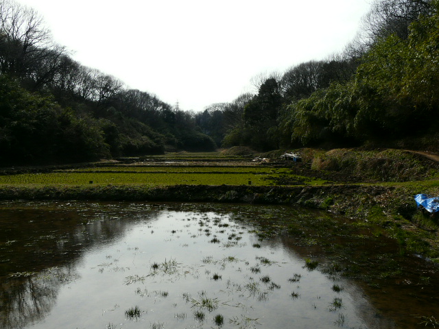 e0145782_9371971.jpg