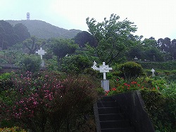 a0142083_2373836.jpg