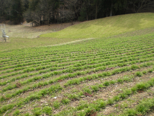c0099395_13302451.jpg