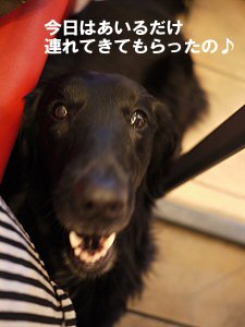c0050400_18344423.jpg