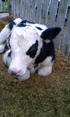 f0032403_22233440.jpg