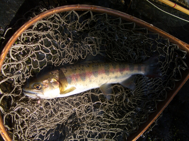 b0172805_401129.jpg