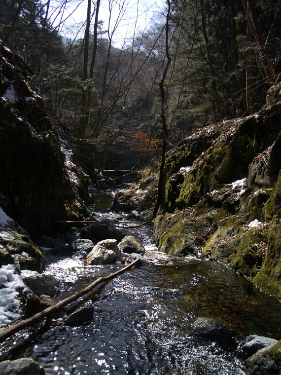 b0172805_4123632.jpg