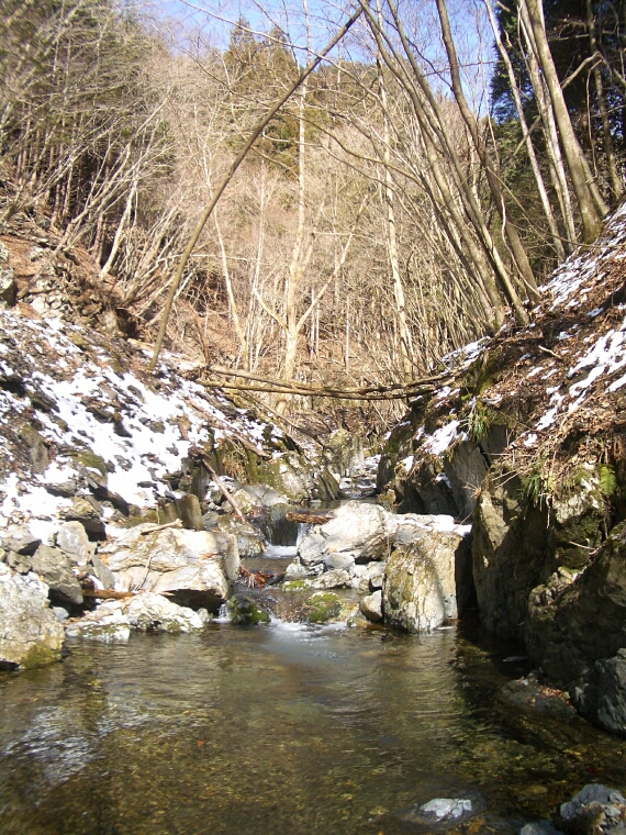b0172805_4135352.jpg