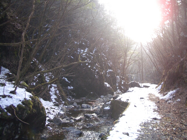 b0172805_428514.jpg