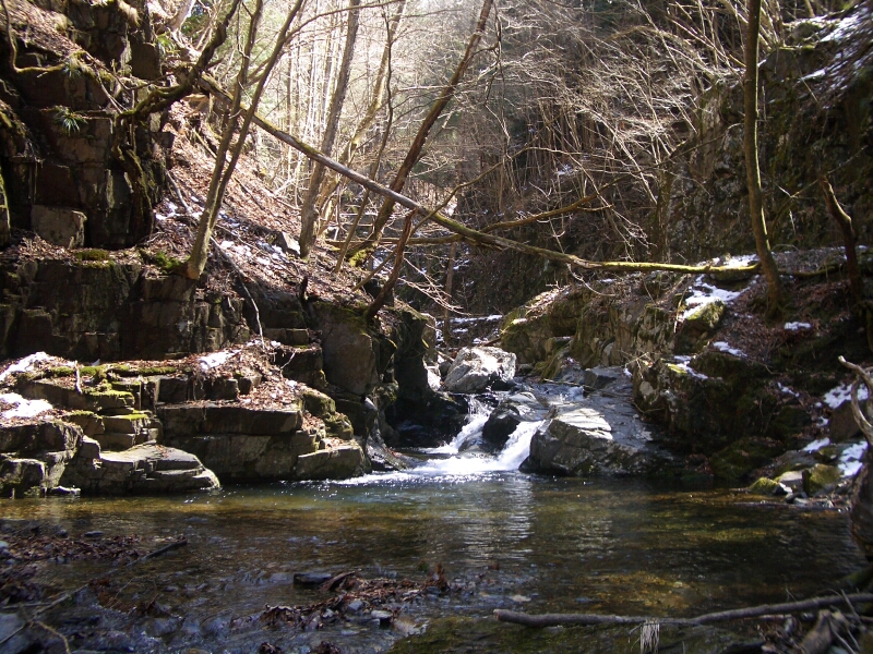 b0172805_431099.jpg