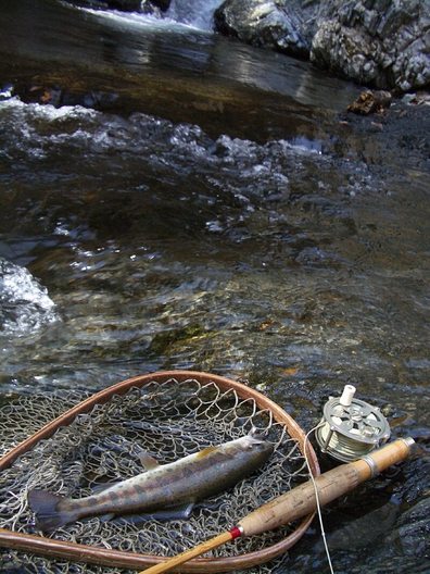 b0172805_442831.jpg