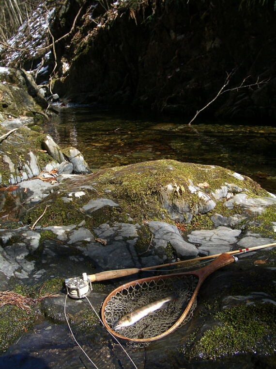b0172805_451214.jpg
