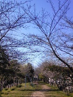 c0097806_1655650.jpg