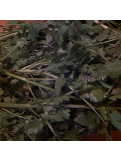 f0009509_1328479.jpg