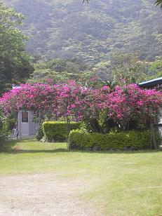 d0114712_2151365.jpg