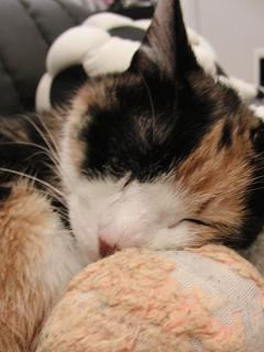 c0201113_22595566.jpg