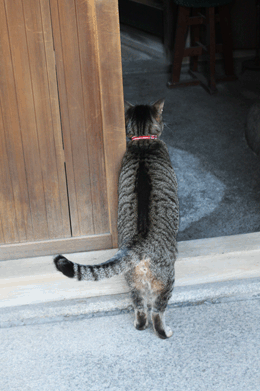 e0156015_10374283.gif