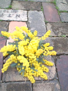 c0140516_13433218.jpg