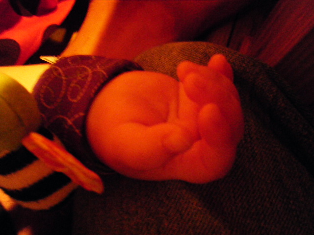f0183618_9484142.jpg