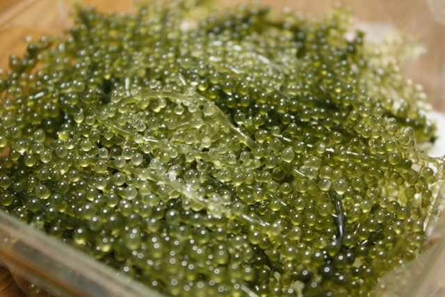e0123322_16583299.jpg