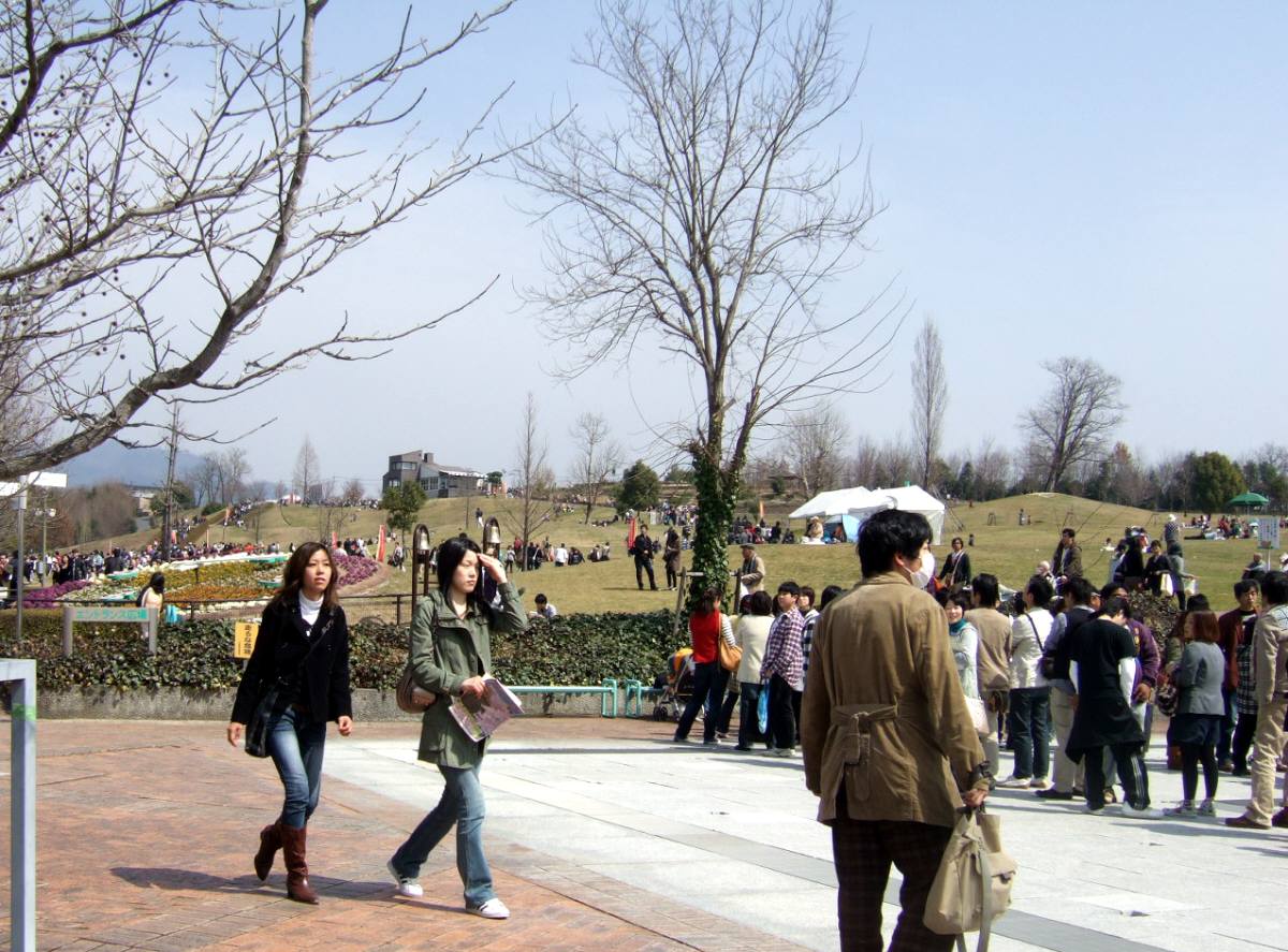 c0020725_2020241.jpg