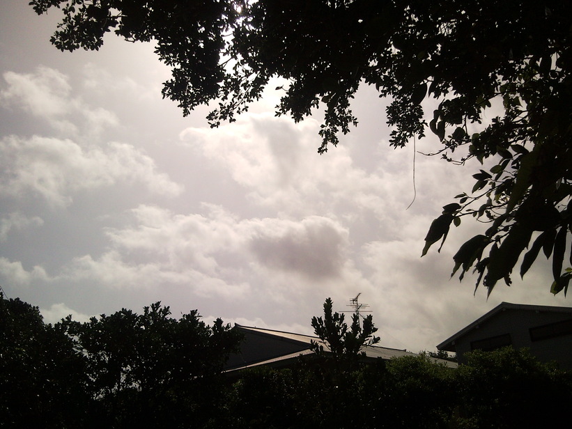 f0197325_1328032.jpg