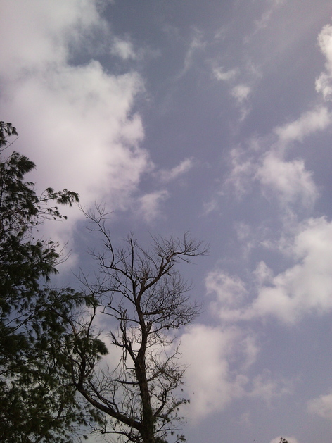 f0197325_1420633.jpg