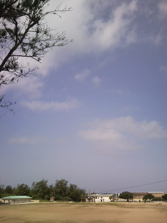 f0197325_1428468.jpg