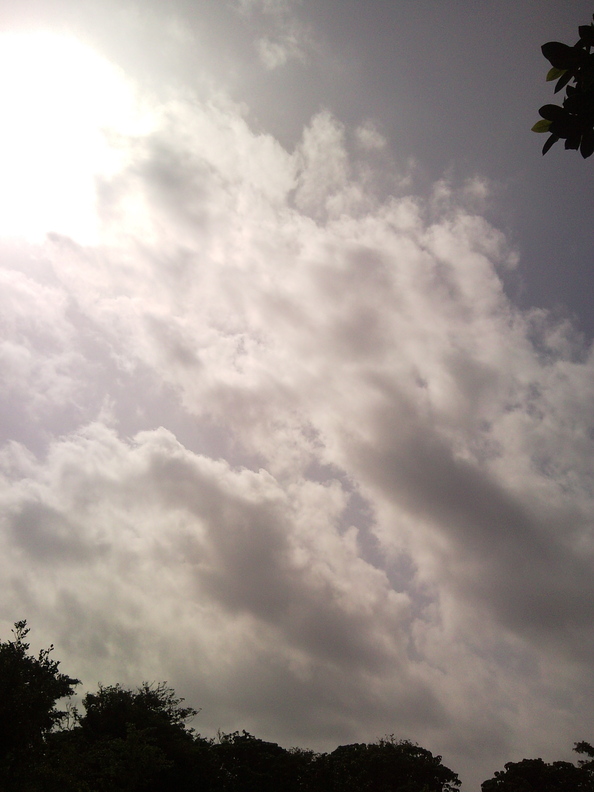 f0197325_146884.jpg