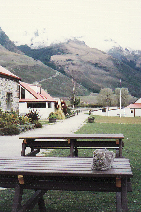 d0147727_716214.jpg