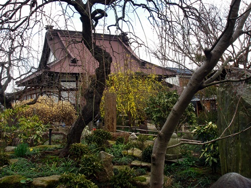 d0037233_1045711.jpg
