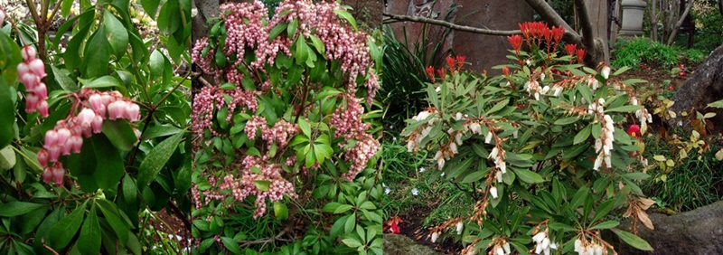d0037233_15462711.jpg