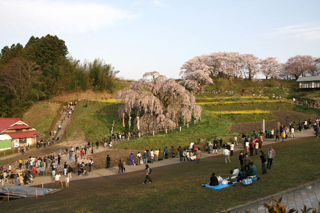e0064133_102328.jpg