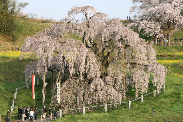e0064133_112049.jpg