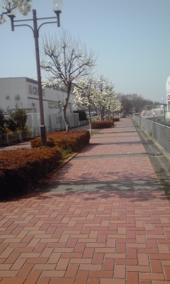 f0224534_17511923.jpg